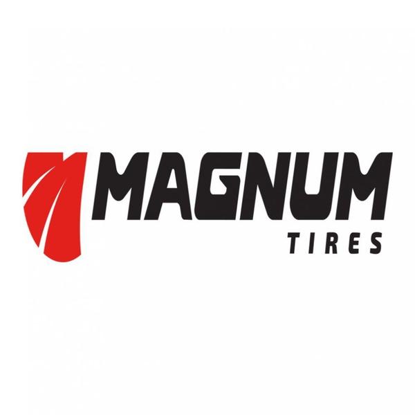 Imagem de Pneu Magnum Aro 14 175/65R14 Campione M3 82T