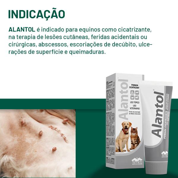 Imagem de Pomada Alantol Cicatrizante Cães/Gatos/Equinos Vetnil 25g