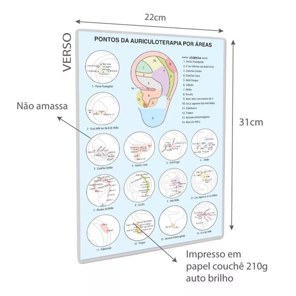 Imagem de Ponto Auriculoterapia Prata Auricular C/ Micropore Caixa 30 cartelas Total 2100 Pontos