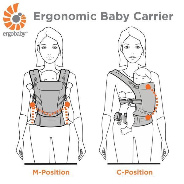 Imagem de Porta-bebês Ergobaby 360 All-Position com suporte lombar