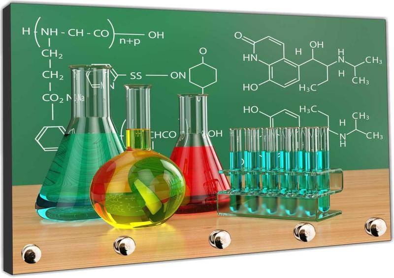 Imagem de Porta Chaves Ciências Química Laboratórios Biologia Organizador Chaveiros