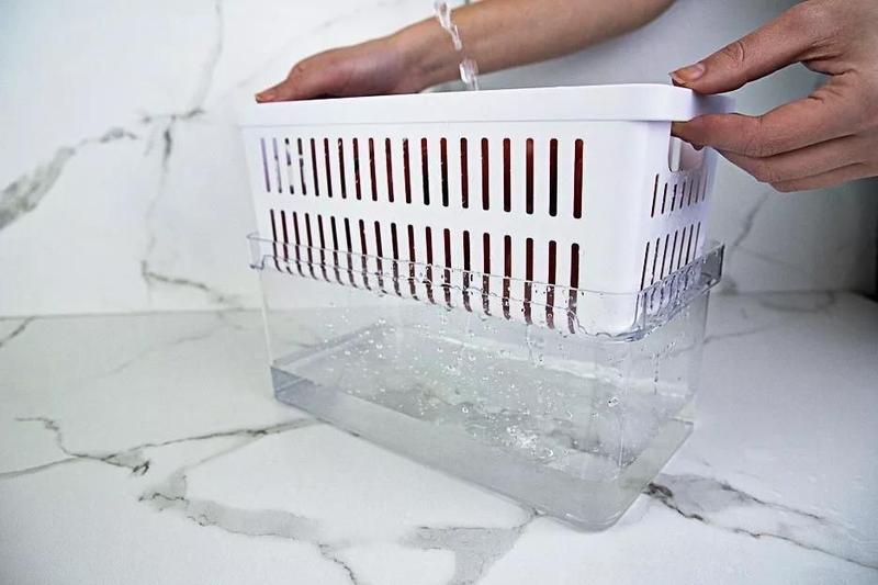 Porta Ovos Organizador De Geladeira + Organizador Legumes - OU Imagem de Porta Ovos Organizador De Geladeira + Organizador Legumes