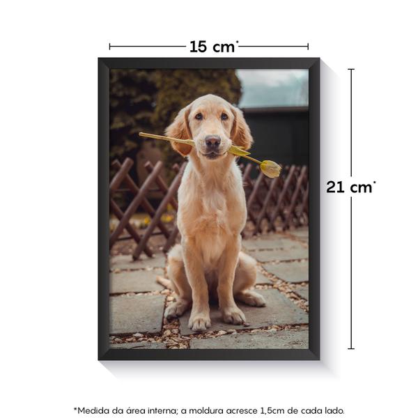 Porta Retrato de Parede 15x21 Moderno Kit Fotos Para Família Casa Decoração Composição Viagem - Bimper Imagem de Porta Retrato de Parede 15x21 Moderno Kit Fotos Para Família Casa Decoração Composição Viagem