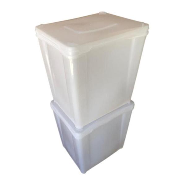 Pote De Sorvete Retangular Novo - Kit 02 Peças - Np Embalagens Imagem de Pote De Sorvete Retangular Novo - Kit 02 Peças