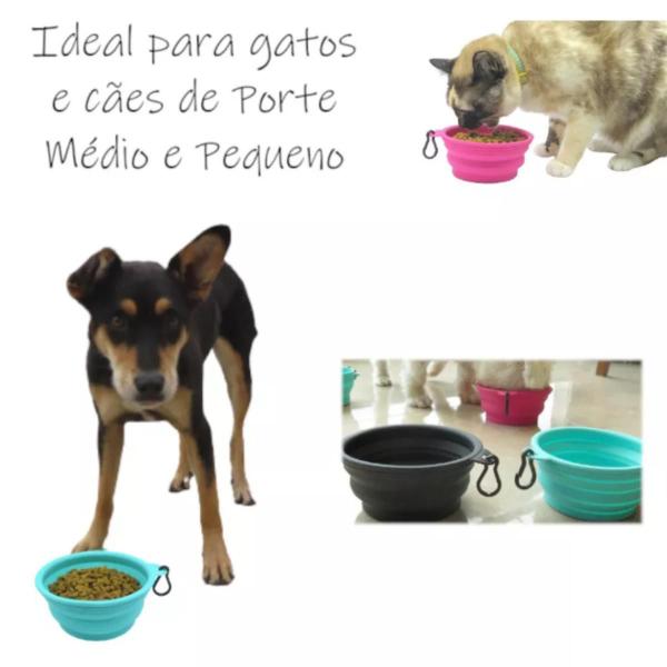 Imagem de Pote para Pet dobrável e Retrátil - Comedouro e bebedouro 450 ml