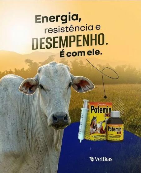 Imagem de Potemin B12 Suplemento Vitaminico e Mineral 120ml - VetBras