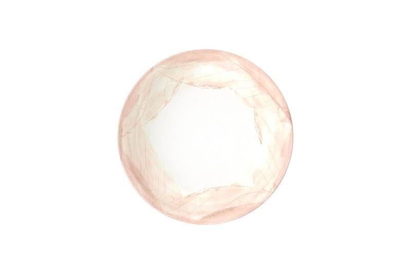 Imagem de Prato fundo tramontina rosé em porcelana decorada 22 cm