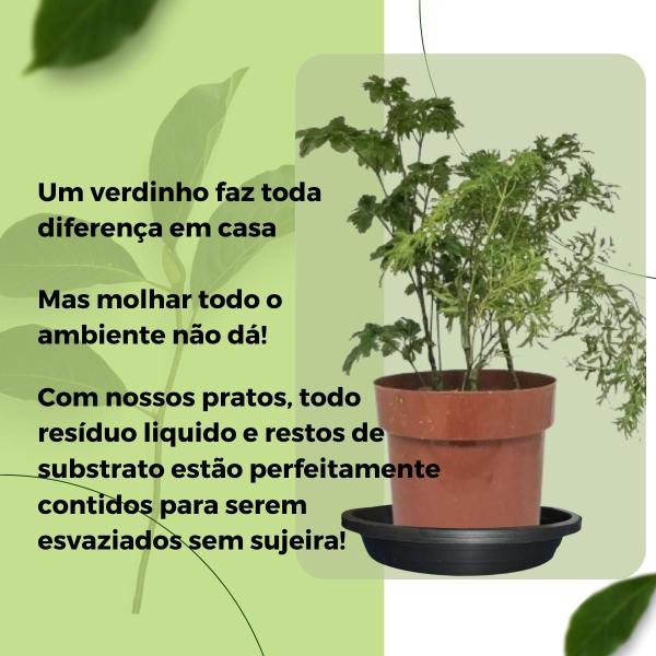 Imagem de Prato Plástico 24 Cm Preto Redondo Vaso Planta 20 Cm Fundo