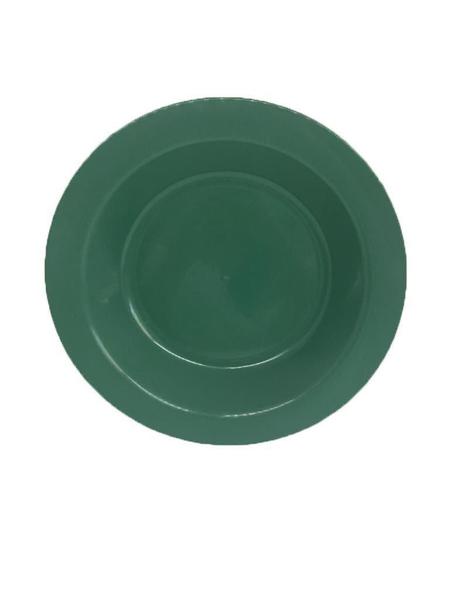 Imagem de Prato Plástico Merenda Escolar Verde 21 cm - 25 Pçs