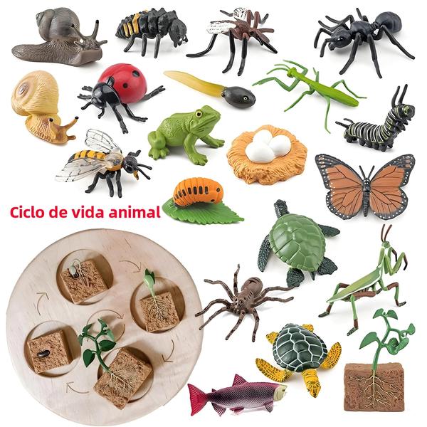 Imagem de Pré-escolar Crianças Montessori Ciclo De Vida Animal Jogo De Tabuleiro Planta Crescimento Modelo