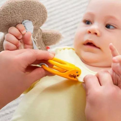 Imagem de Prendedor e Porta-Chupeta Fisher-Price Clipimals - Preguiça