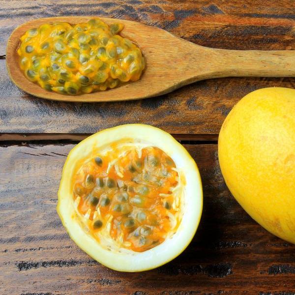 Preparado Polpa De Maracujá Com Pedaços Da Fruta Confeitaria e Sorveteria Muito Versátil! - Di Maria Sorvemix Imagem de Preparado Polpa De Maracujá Com Pedaços Da Fruta Confeitaria e Sorveteria Muito Versátil!
