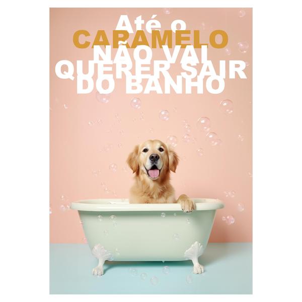 Pressurizador Duplo Agua Quente Fria 20mca Lorenzetti Pl20 - Globo Resistências/Lorenzetti Imagem de Pressurizador Duplo Agua Quente Fria 20mca Lorenzetti Pl20