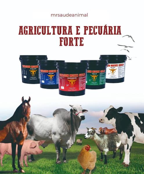 Previntox Desintoxicador Para Bovinos de Corte e Leite 10kg - Agrocave Imagem de Previntox Desintoxicador Para Bovinos de Corte e Leite 10kg