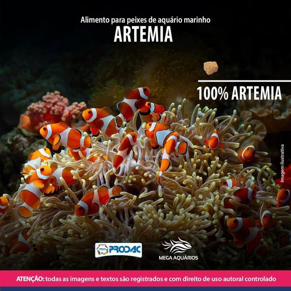 Imagem de Prodac Artemia 100% Brine Shrimps 40g - Peixes marinhos