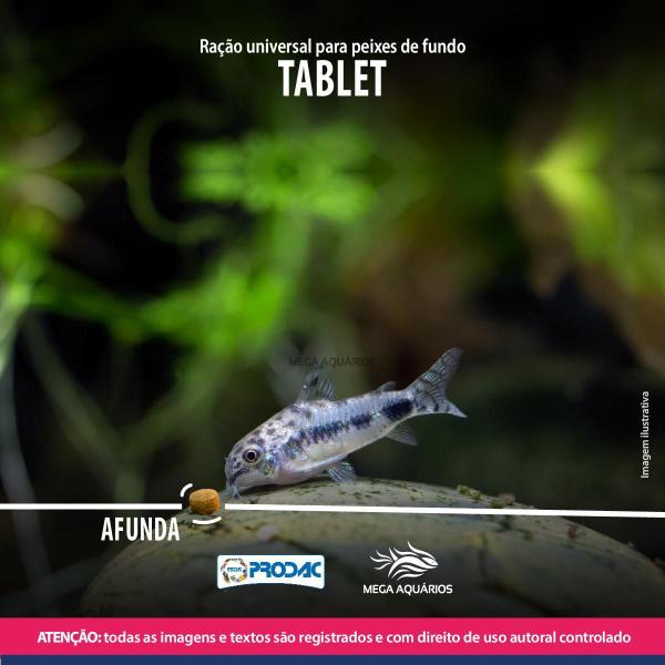 Imagem de Prodac Tablet 60G Ração Afunda Universal Para Peixes Fundo