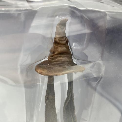 Professor Dumbledore E Harry Potter Em Câmara Secreta Neca Imagem de Professor Dumbledore E Harry Potter Em Câmara Secreta Neca