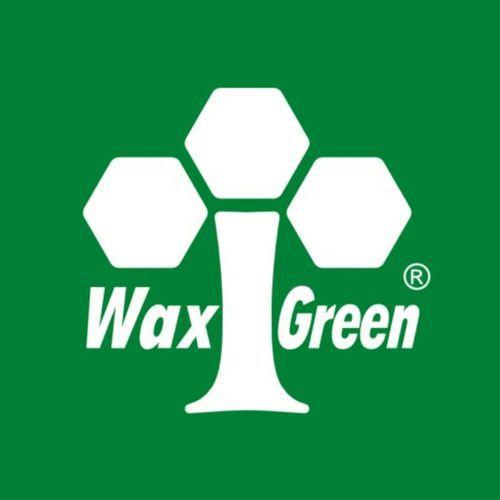 Própolis Verde 80% Wax Green 100 Cápsulas 300mg Imagem de Própolis Verde 80% Wax Green 100 Cápsulas 300mg