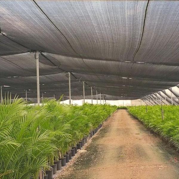 Imagem de Proteção Hortícola - Sombrite 80% - 2x2m