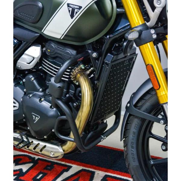 Imagem de Protetor de Motor Carenagem Triumph Scrambler 400X Speed 400