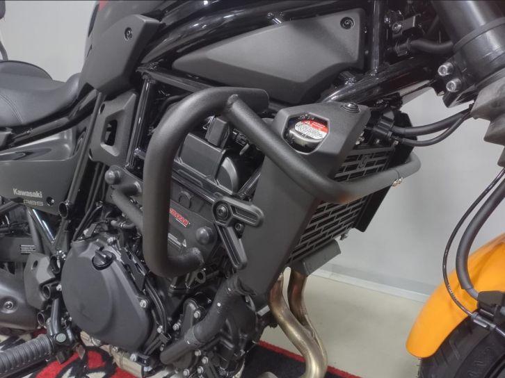 Imagem de Protor de Motor Dianteiro Chapam Eliminator 500 2025+