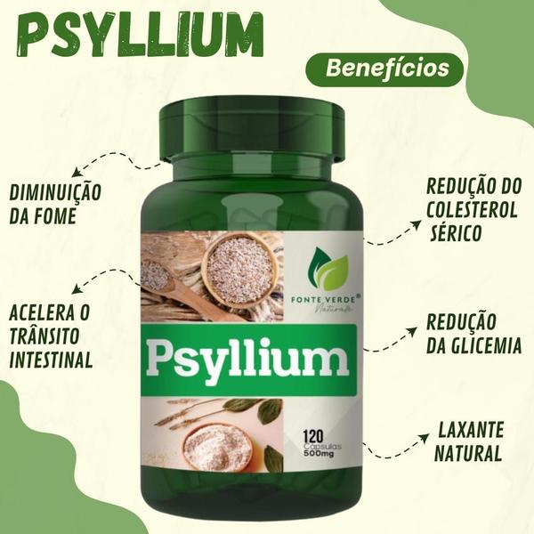 Imagem de Psyllium Natural 500MG 120 Capsulas Fonte Verde