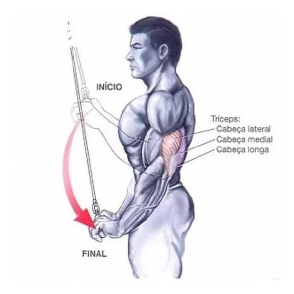 Imagem de Puxador Reto Com Giro Barra 50 Cm Musculação Academia