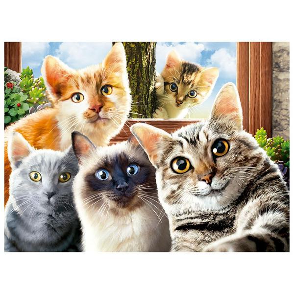 Imagem de Puzzle 500 peças Selfie Cats