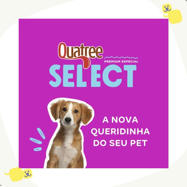 Imagem de Quatree Select Cão Filhotes Médio e Grande Frango Arroz 3Kg