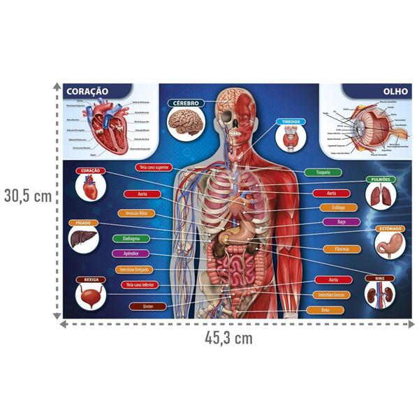 Imagem de Quebra-cabeça 200 Peças Corpo Humano Para Crianças - Grow