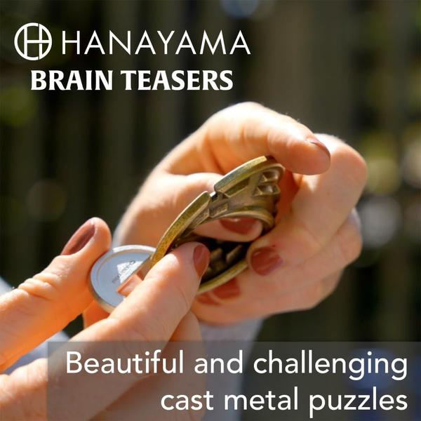 Imagem de Quebra-cabeça Bepuzzled Vortex Hanayama Metal Brainteaser Nível 5