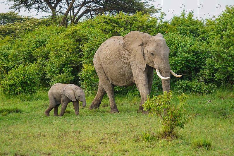 Imagem de Quebra-Cabeça Cognitivo Reabilitação para Idosos - Animais - 60 peças