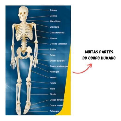 Imagem de Quebra Cabeça Educativo Corpo Humano 108 Peças Anatomia - Nig