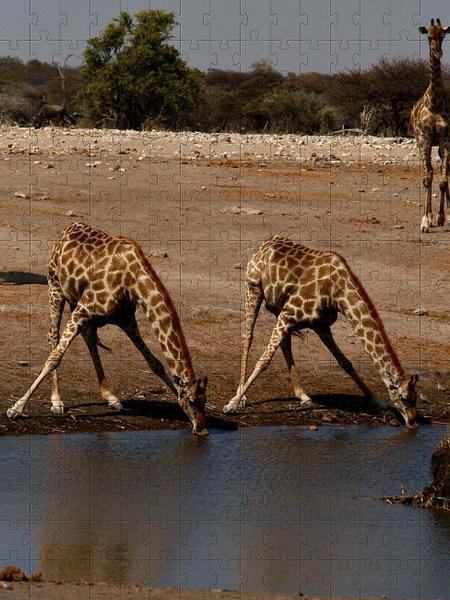 Imagem de Quebra-cabeça Girafas de 300 peças