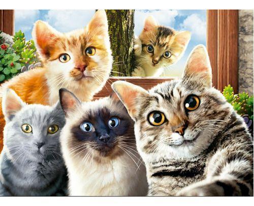 Imagem de Quebra Cabeça Puzzle 500 Peças Selfie Gatos Cats Grow 04397