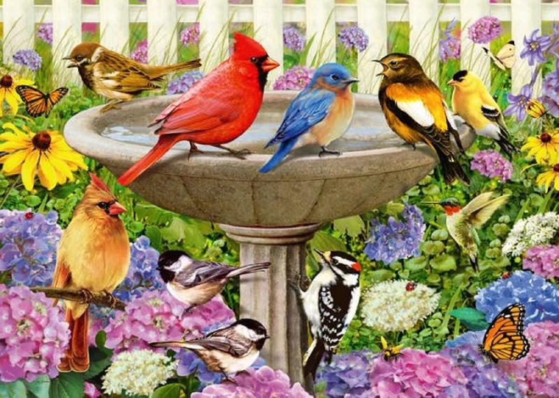 Imagem de Quebra-cabeça Ravensburger Garden Birds 1000 peças