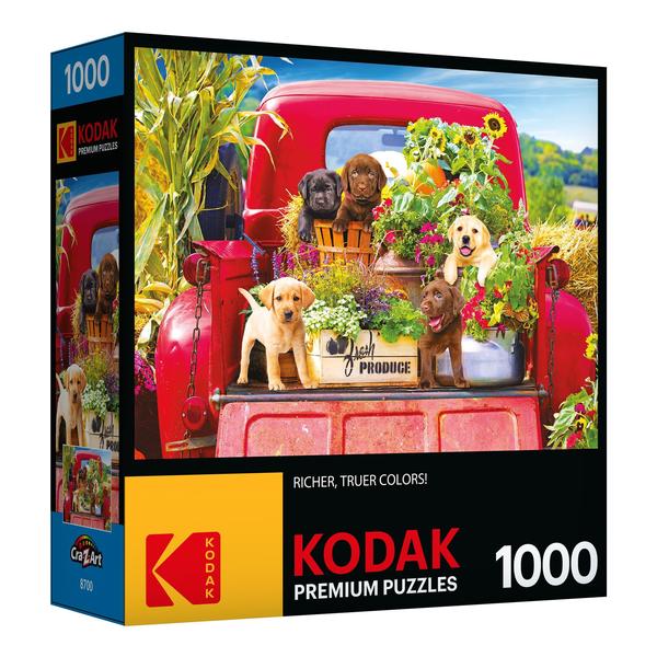 Imagem de Quebra-cabeça RoseArt Kodak Premium Stowaways 1000 peças