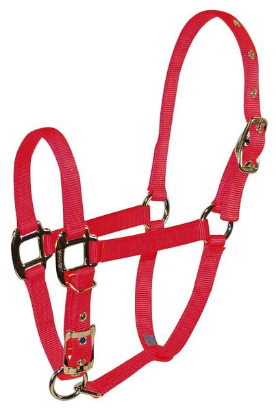 Imagem de Queixo ajustável em nylon 3/4 Horse Halter Hamilton Pet & Equine