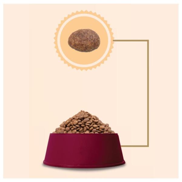 Ração Affinity PetCare Gran Plus Menu Sênior Frango e Arroz para Cães Idosos - 15 Kg - GranPlus Imagem de Ração Affinity PetCare Gran Plus Menu Sênior Frango e Arroz para Cães Idosos - 15 Kg