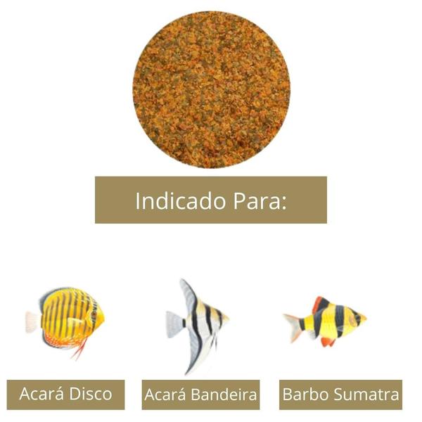 Ração Alcon Colours Para Peixes 50G Imagem de Ração Alcon Colours Para Peixes 50G