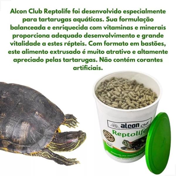 Imagem de Ração Alcon Para Répteis Tartaruga Reptolife 270 gr - Alcon Pet as tartarugas amam