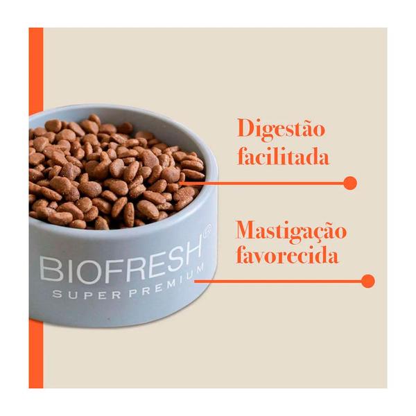 Imagem de Ração Biofresh Para Cães Sênior Raças Pequenas e Mini Mix de Carne, Frutas, Legumes 3kg