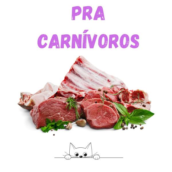 Ração BioFresh Super Premium 7,5Kg Frango Para Gatos Adultos - HercoSul Imagem de Ração BioFresh Super Premium 7,5Kg Frango Para Gatos Adultos