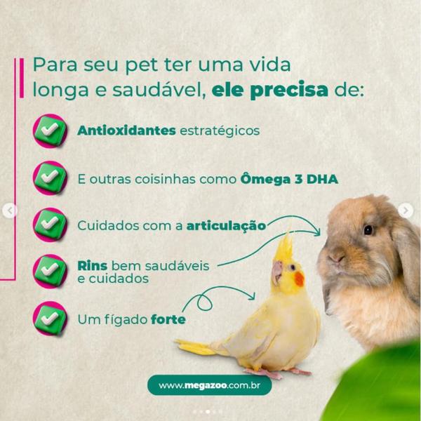 Imagem de Ração Extrusada Anti Aging Megazoo Coelhos 500g