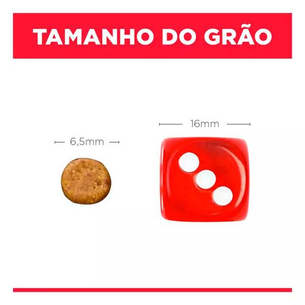 Imagem de Ração Hill s Science Diet Gatos Filhotes 3kg