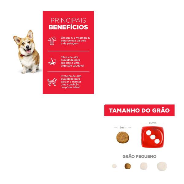 Ração Hills Science Diet Cães Adultos Raças Pequenas 12Kg Imagem de Ração Hills Science Diet Cães Adultos Raças Pequenas 12Kg