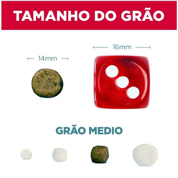 Ração Hills Science Diet Cães Filhotes - 6kg Imagem de Ração Hills Science Diet Cães Filhotes - 6kg