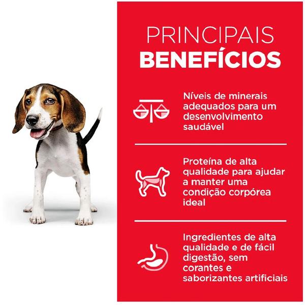 Ração Hills Science Diet Cães Filhotes - 6kg Imagem de Ração Hills Science Diet Cães Filhotes - 6kg
