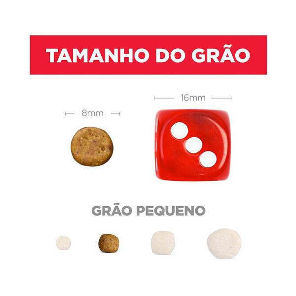 Imagem de Ração Hills Science Diet Pedaços Pequenos para Cães Adultos de Pequeno Porte Sabor Frango - 6kg