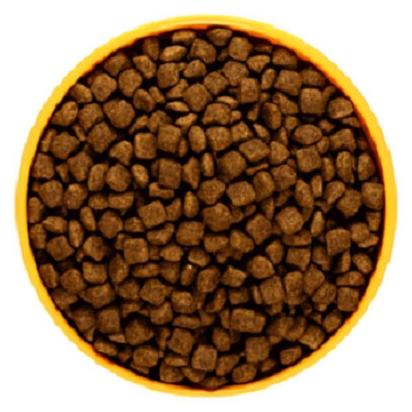 Ração Magnus Filhotes Todo Dia Sabor Carne 20 Kg Imagem de Ração Magnus Filhotes Todo Dia Sabor Carne 20 Kg
